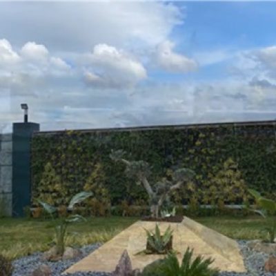 binali yıldırım müzesi 3