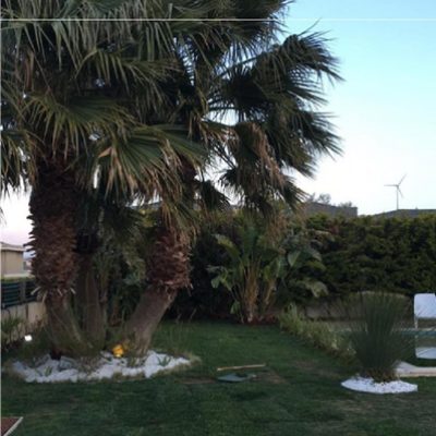 ö.z. evi villa bahçesi 1