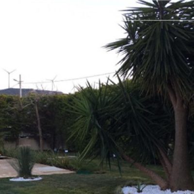 ö.z. evi villa bahçesi 3