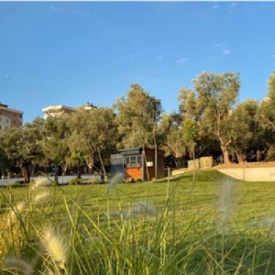 zeytinli park 3